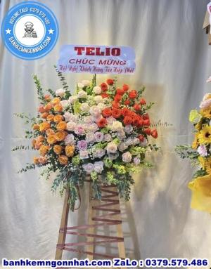 Hoa Khai Trương 13